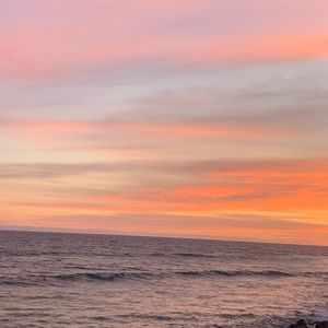 Meet your Posher, Beatrice